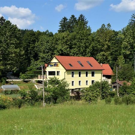 Apartmaji Maln Dolenjske Toplice Esterno foto