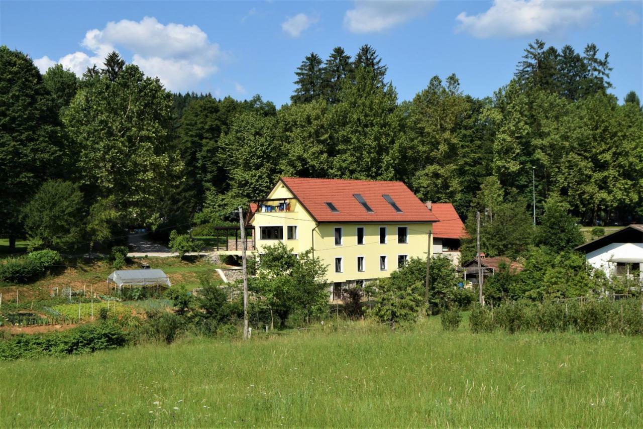 Apartmaji Maln Dolenjske Toplice Esterno foto